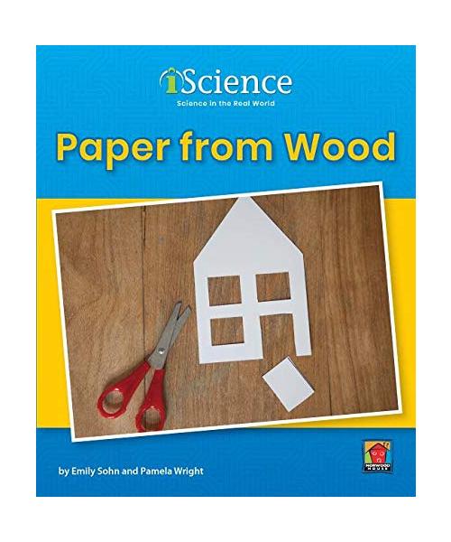 Paper from Wood