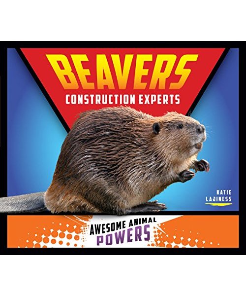 Beavers: Construction Experts