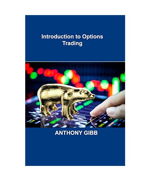 Introduction to Options Trading: Strategies, Case Studies, Strong Business Model