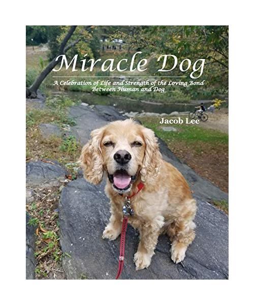 Miracle Dog