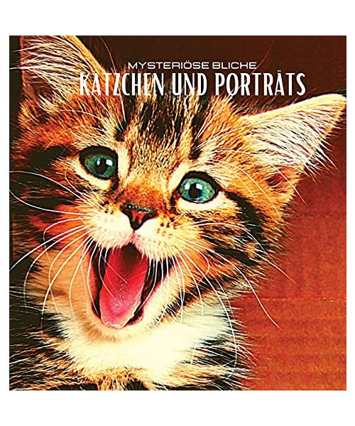 KÄTZCHEN UND PORTRÄTS