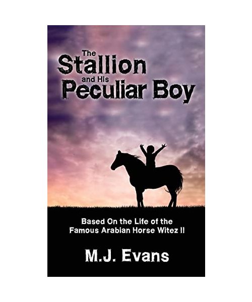 The Stallion and His Peculiar Boy