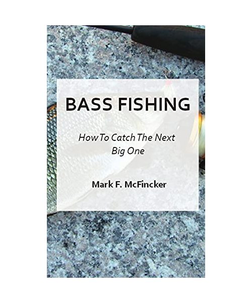 Bass Fishing 101: How To Catch The Next Big One