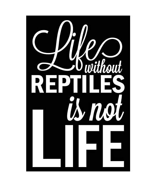 Life Without Reptiles Is Not Life: Reptile Blank Lined Journal, Gift Notebook for Snake Lovers
