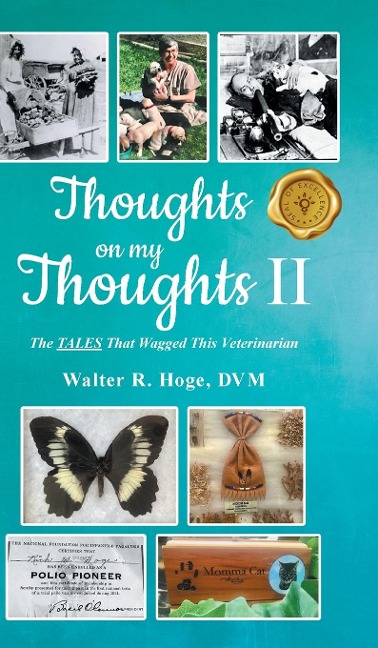 Thoughts on my Thoughts II