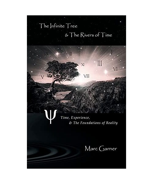 The Infinite Tree & The Rivers of Time: Time, Experience, & The Foundations of Reality