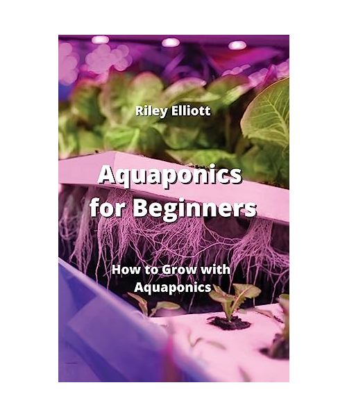 Aquaponics for Beginners: How to Grow with Aquaponics