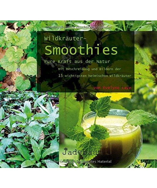 Wildkräuter-Smoothies. Pure Kraft aus der Natur
