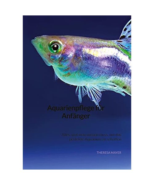Aquarienpflege für Anfänger