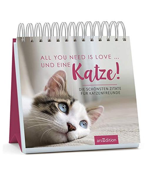 All you need is love ... und eine Katze!