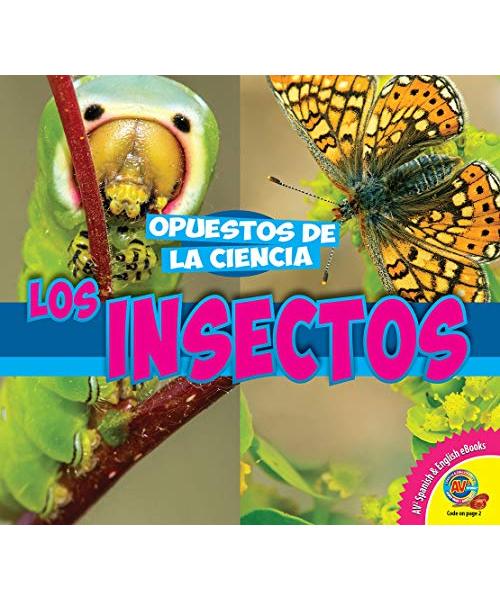 Los Insectos