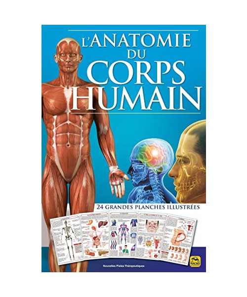 L'anatomie du corps humain: 24 grandes planches illutrées