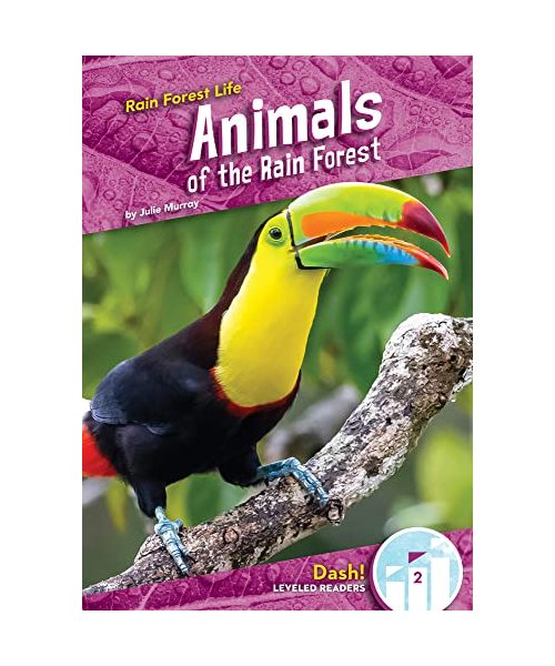 Animals of the Rain Forest