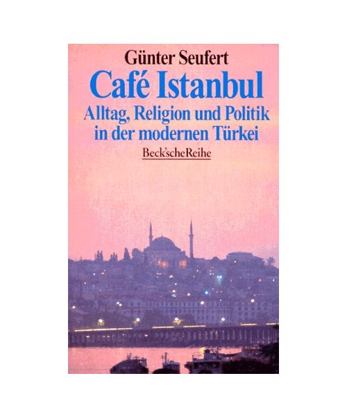 Cafe Istanbul. Alltag, Religion und Politik in der modernen Türkei.