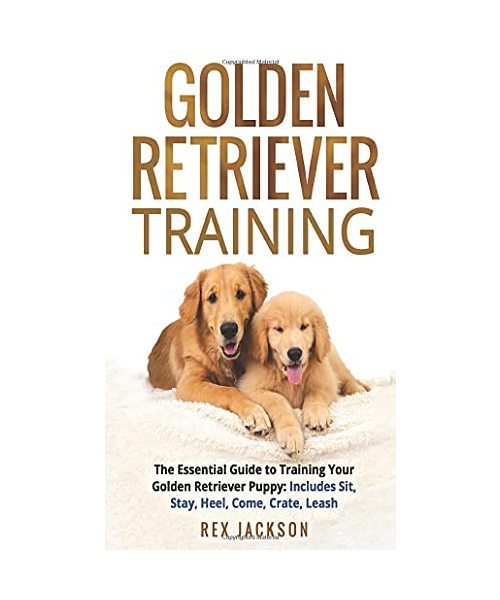 Golden Retriever Training: The Essential Guide to Training Your Golden Retriever Puppy: Includes Sit, Stay, Heel, Come, Crate, Leash