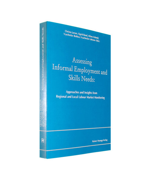 Assessing Informal Employment and Skills Needs