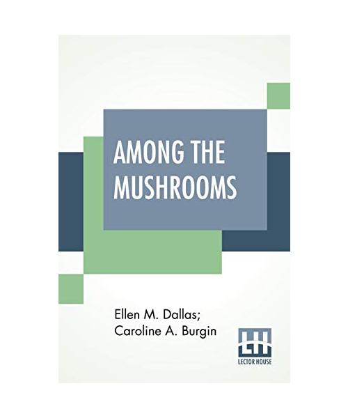 Among The Mushrooms: A Guide For Beginners