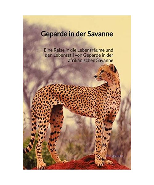 Geparden in der Savanne