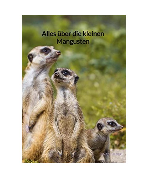 Alles über die kleinen Mangusten