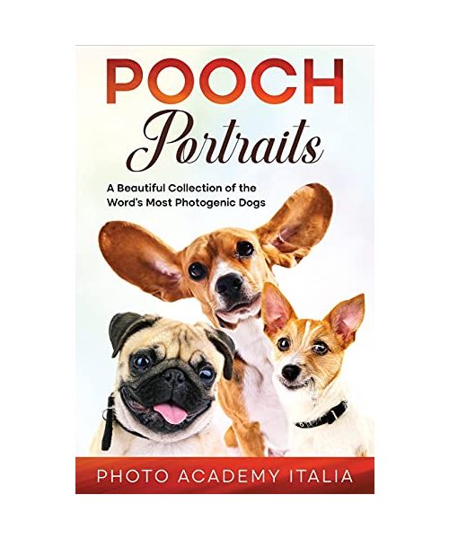 Playful Portraits: A Beautiful Collection of the Word's Most Photogenic Dogs