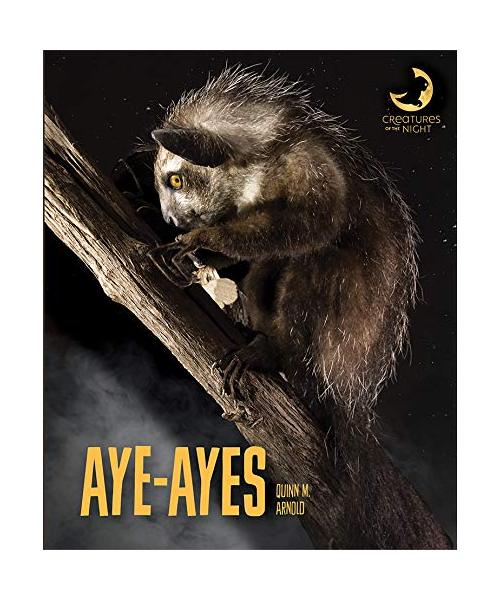 Aye-Ayes