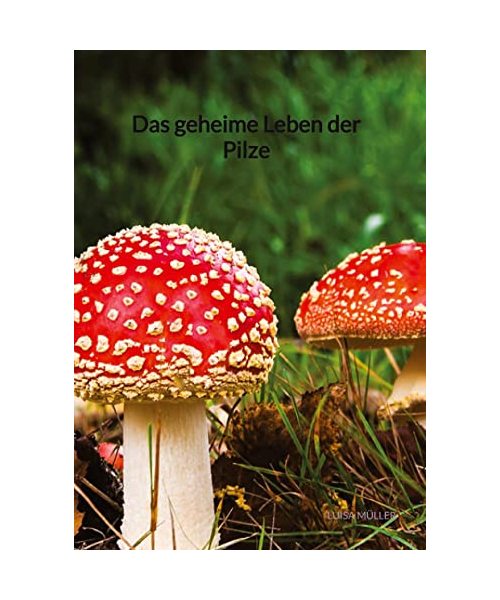 Das geheime Leben der Pilze