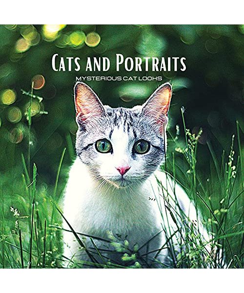CATS and PORTRAITS - Mysterious Cat Looks: Cat-themed colour photo album. Gift idea for animal and nature lovers. Photo book with close-up portraits of cats.