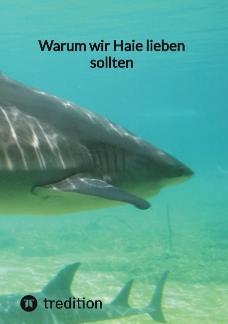 Warum wir Haie lieben sollten