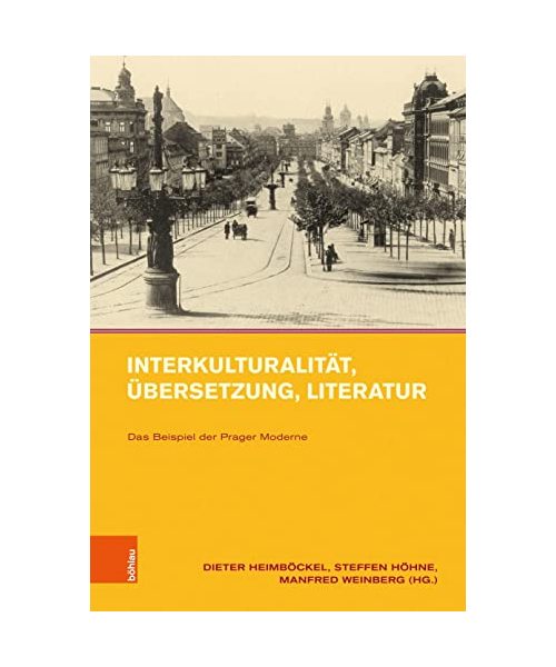 Interkulturalität, Übersetzung, Literatur