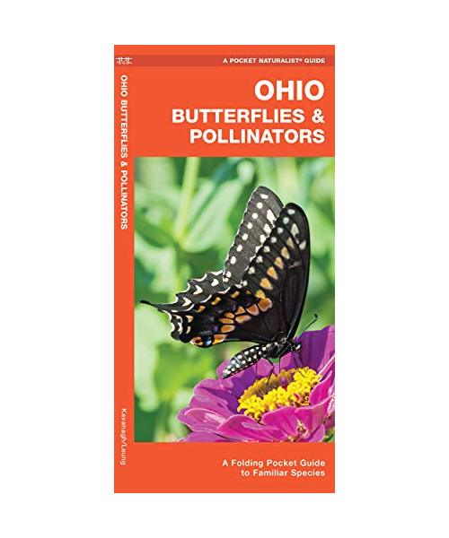 Ohio Butterflies & Pollinators