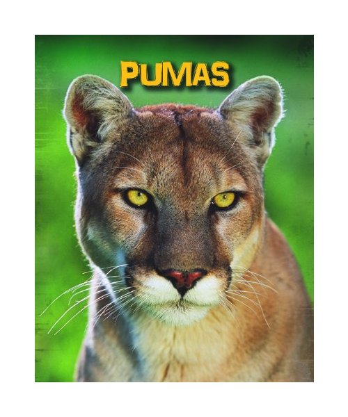 Pumas