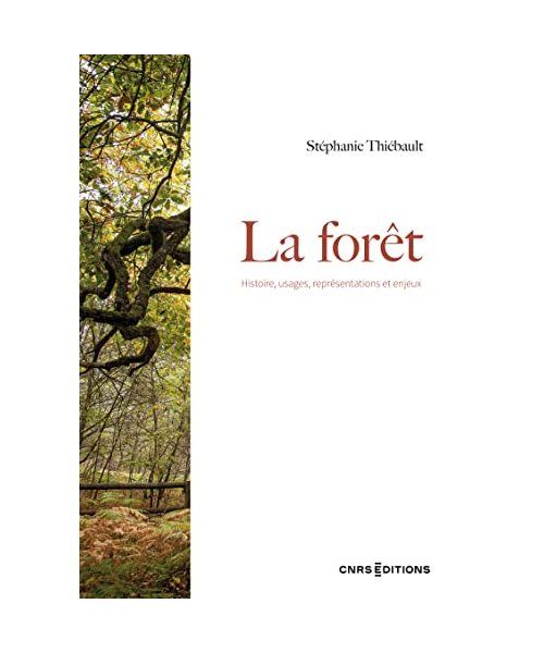 La forêt - Histoire, usages, représentations et enjeux