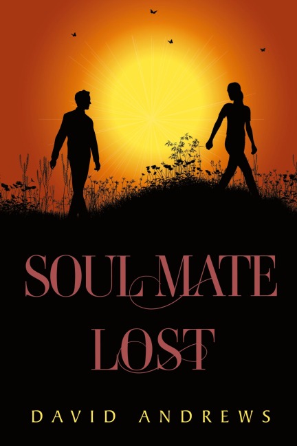 Soul Mate Lost