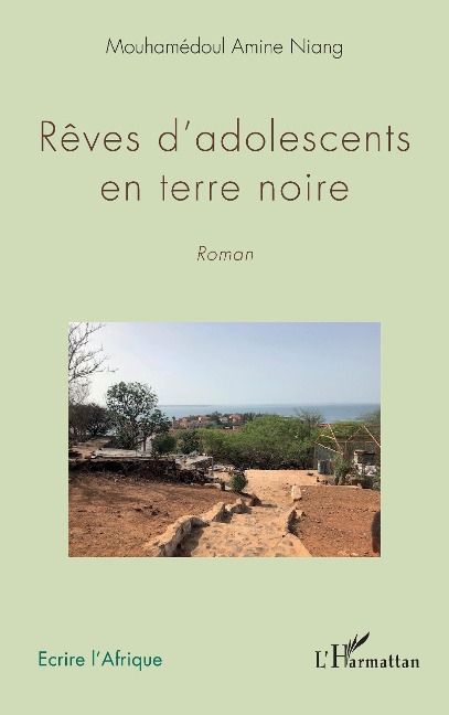 Rêves d'adolescents en terre noire. Roman