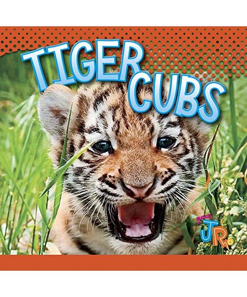 Tiger Cubs
