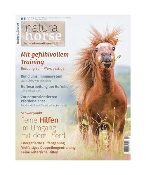 Natural Horse 38
