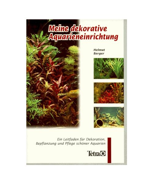 Meine dekorative Aquarieneinrichtung