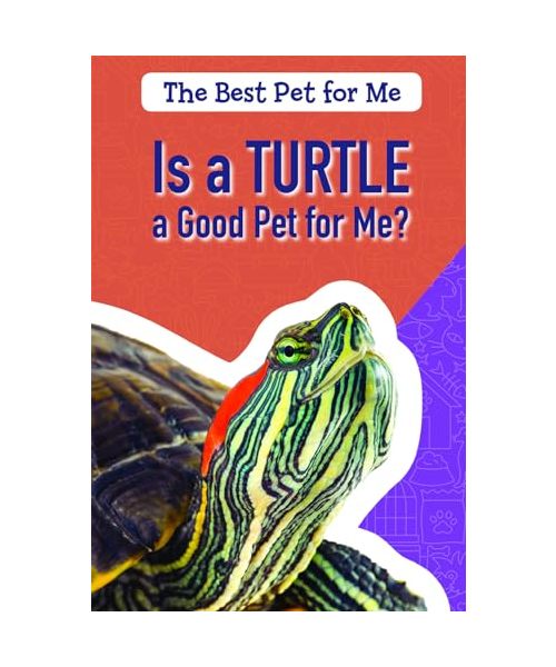 Is a Turtle a Good Pet for Me?