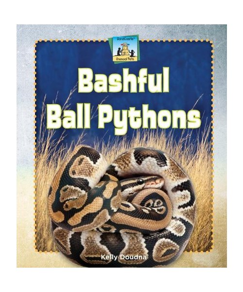 Bashful Ball Pythons