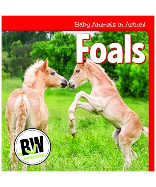 Foals (Baby Animals in Action!)