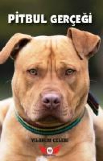 Pitbul Gercegi