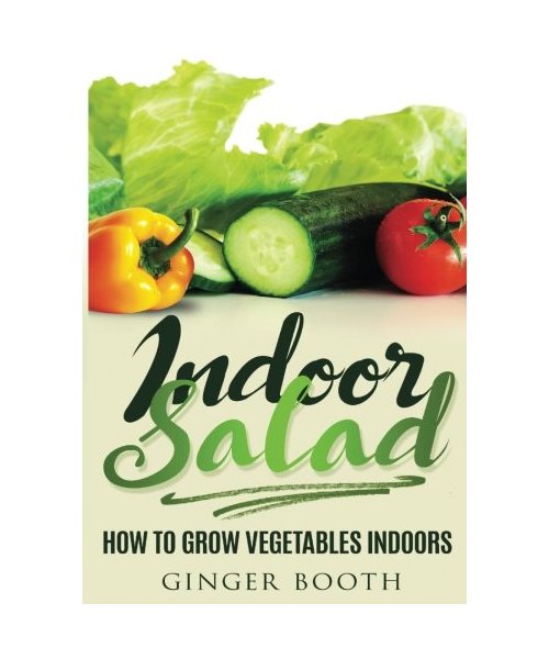 Indoor Salad: How to Grow Vegetables Indoors