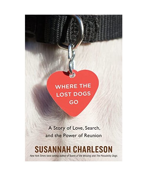 Where the Lost Dogs Go: A Story of Love, Search, and the Power of Reunion