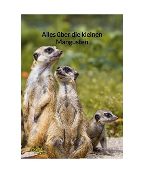 Alles über die kleinen Mangusten