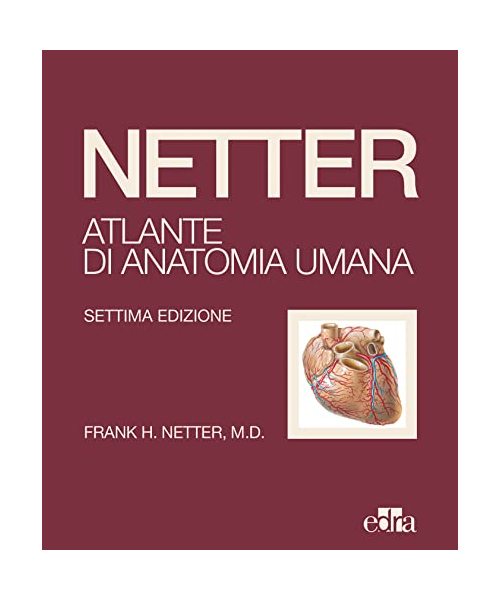 Netter. Atlante di anatomia umana