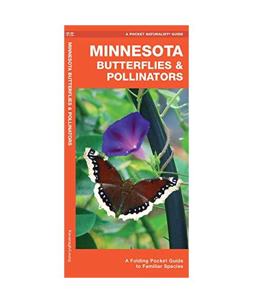 Minnesota Butterflies & Pollinators: A Folding Pocket Guide to Familiar Species