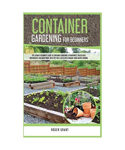 Container Gardening for Beginners