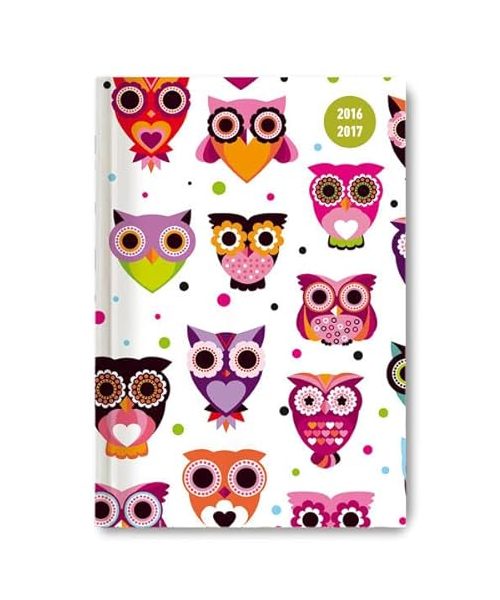 Collegetimer A6 Owls 2016/2017