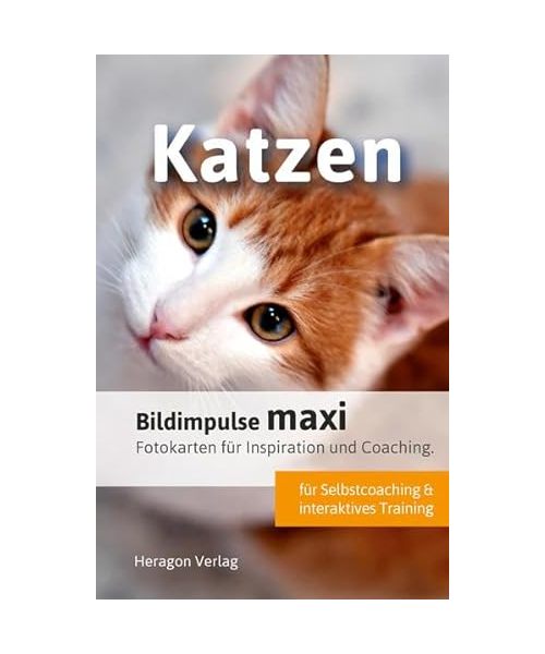 Bildimpulse maxi: Katzen