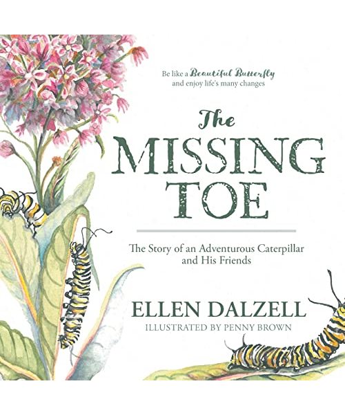 The Missing Toe